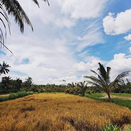 Bunga Maliq Bungalow Lombok Tetebatu Exterior foto