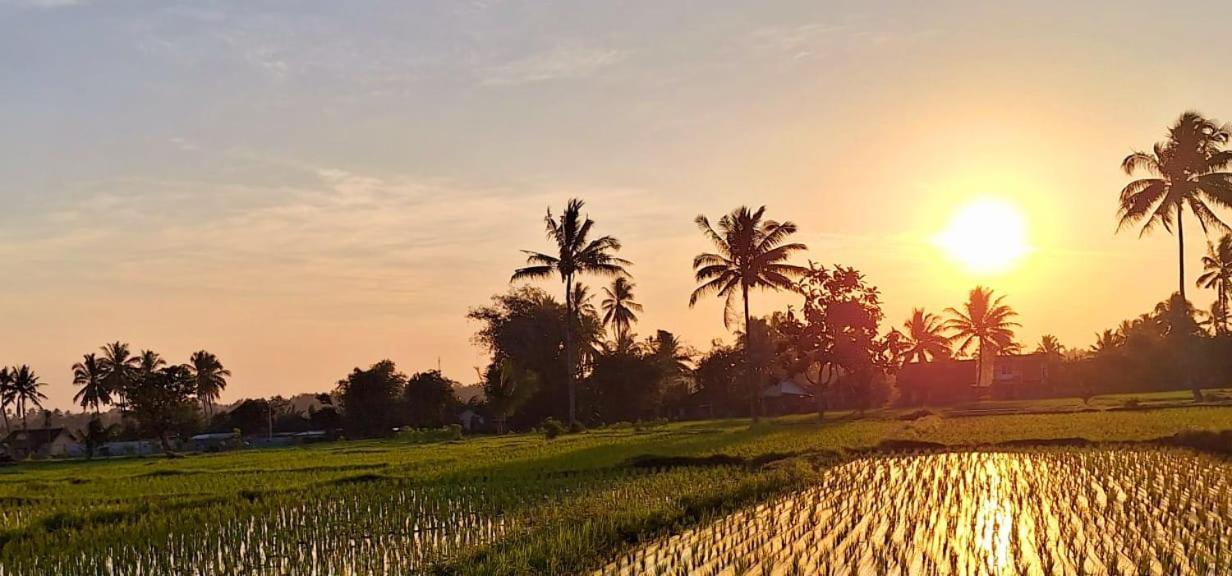 Bunga Maliq Bungalow Lombok Tetebatu Exterior foto