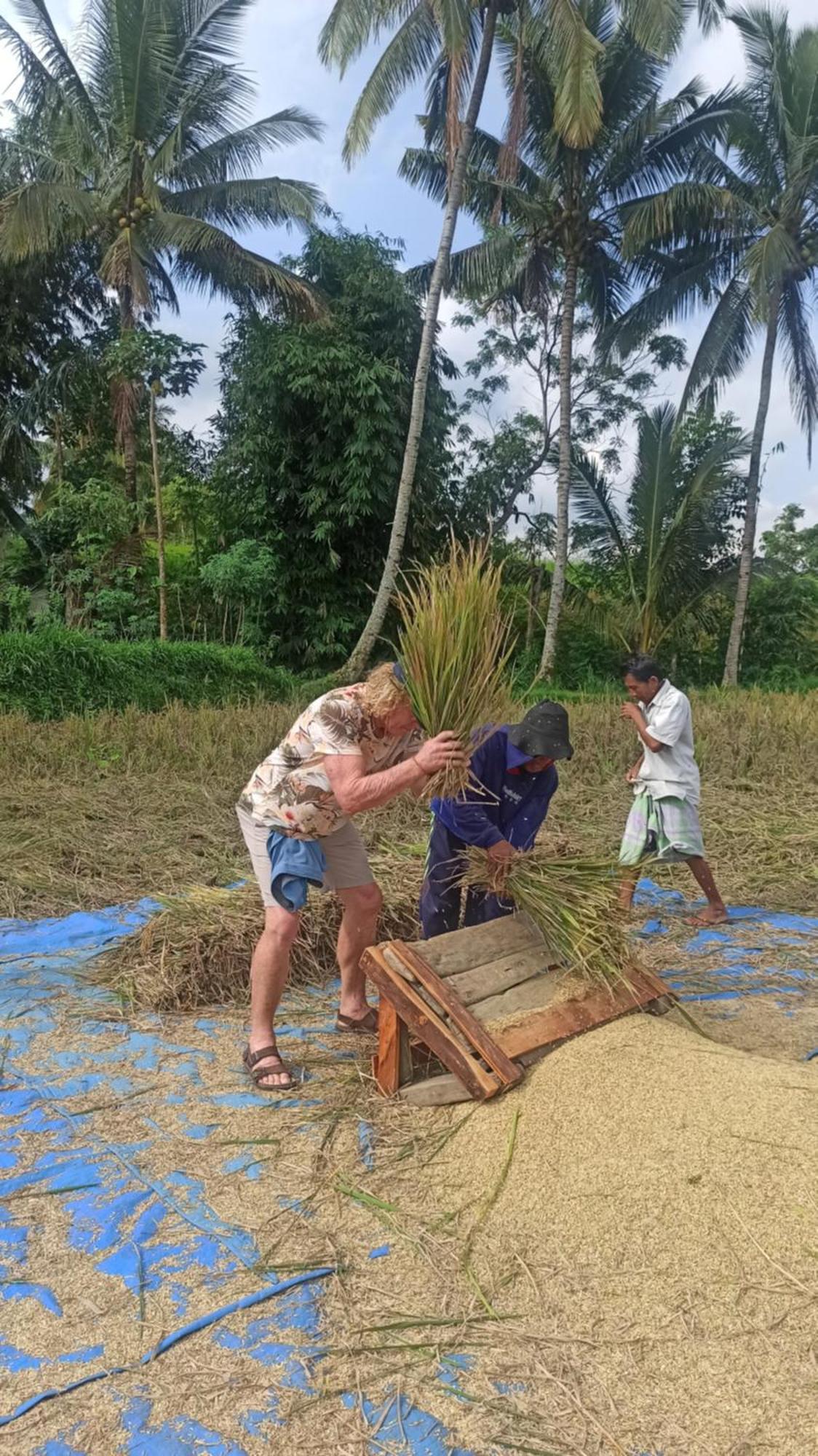 Bunga Maliq Bungalow Lombok Tetebatu Exterior foto