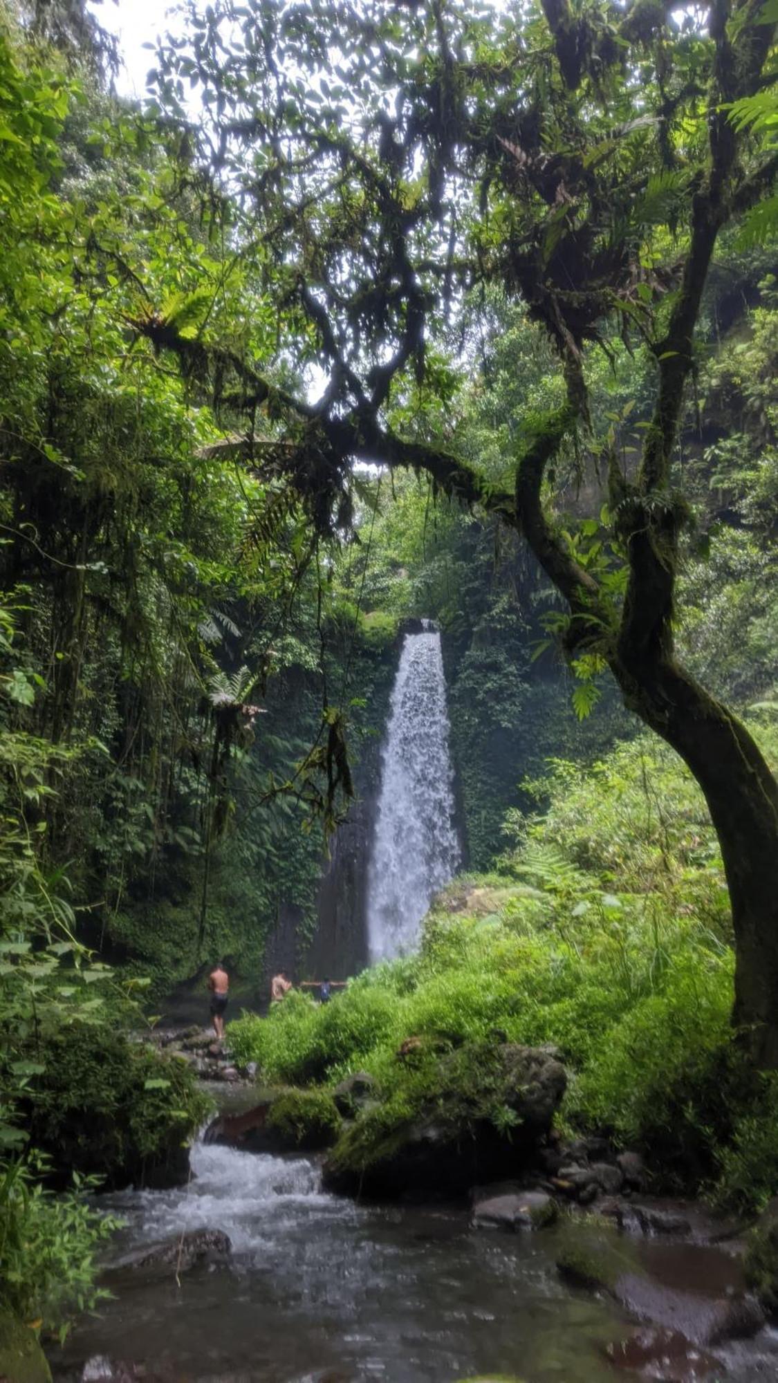 Bunga Maliq Bungalow Lombok Tetebatu Exterior foto