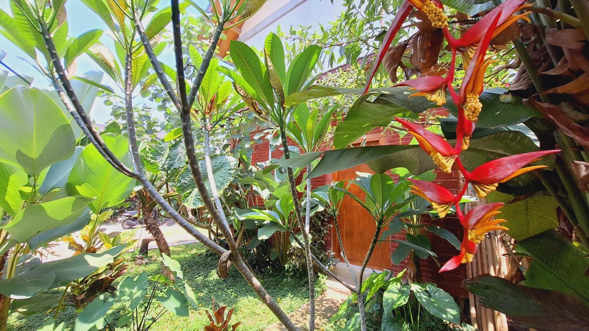 Bunga Maliq Bungalow Lombok Tetebatu Quarto foto